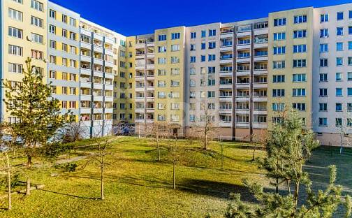 Prodej bytu 1+1 48 m², V. Volfa, České Budějovice - České Budějovice 2