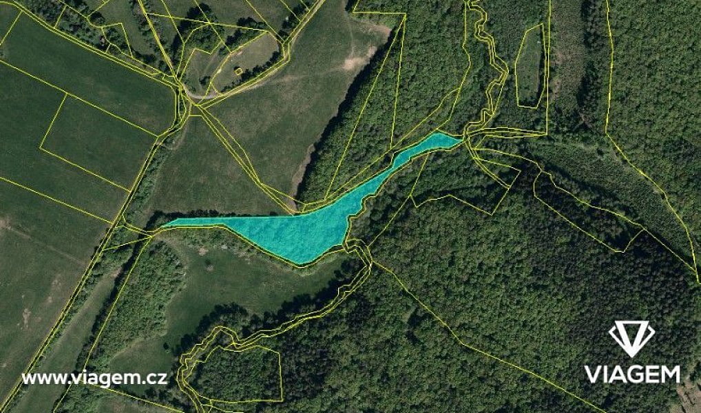 Prodej lesa 647 m², Bojkovice – náhled fotky 5