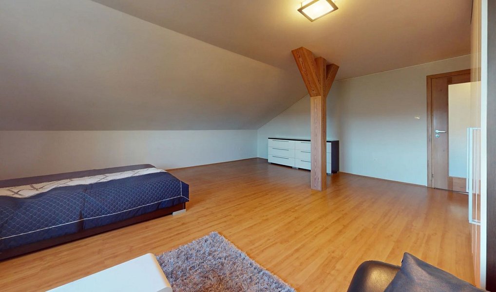 Prodej domu 424 m² s pozemkem 1 557 m², Hradištko – náhled fotky 6