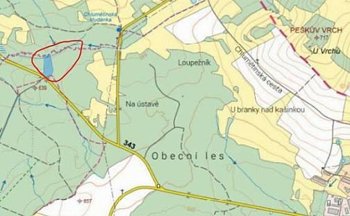 Prodej lesa 1 485 m², Svratka, okres Žďár nad Sázavou