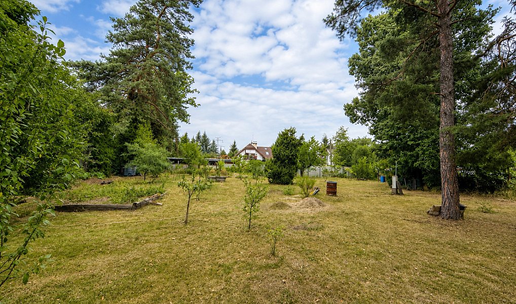 Prodej stavebního pozemku 2 039 m², Zvole – náhled fotky 3