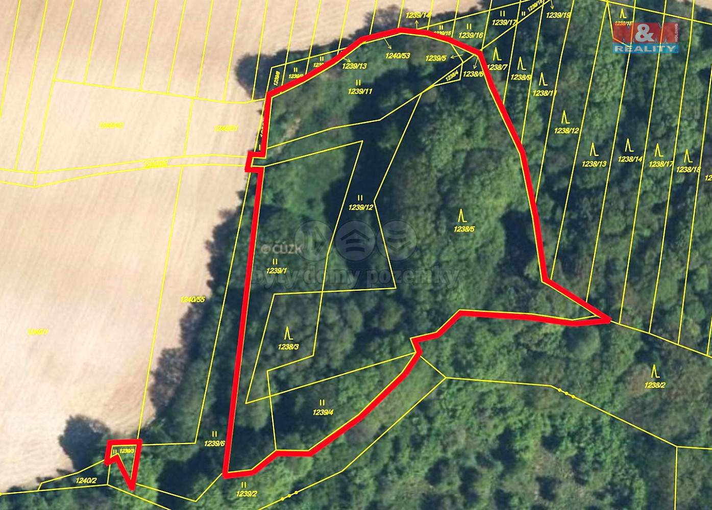 Prodej lesa, 9823 m², Lhota u Zlína – pohled 4