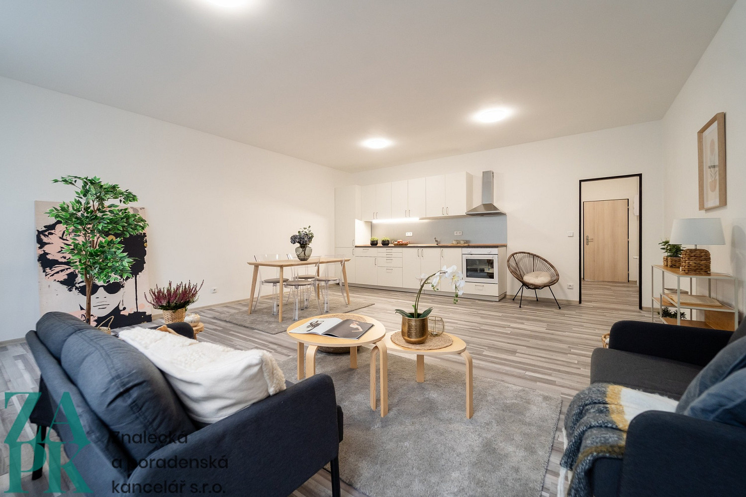 Pronájem bytu 1+kk 55 m² - Widok 6