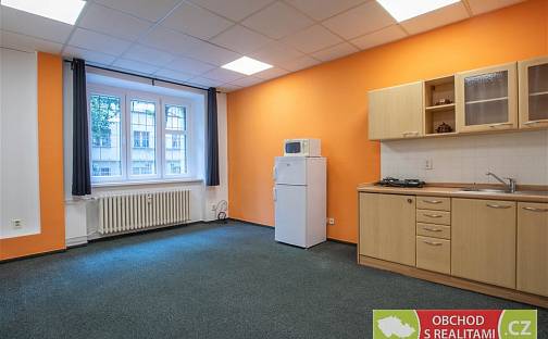 Pronájem bytu 1+kk 31 m², Biskupcova, Praha 3 - Žižkov, okres Praha