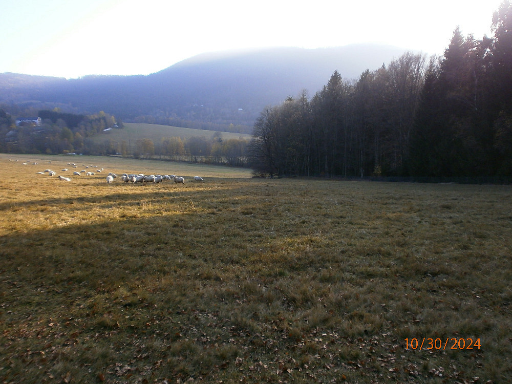 Prodej pozemku 4 029 m²