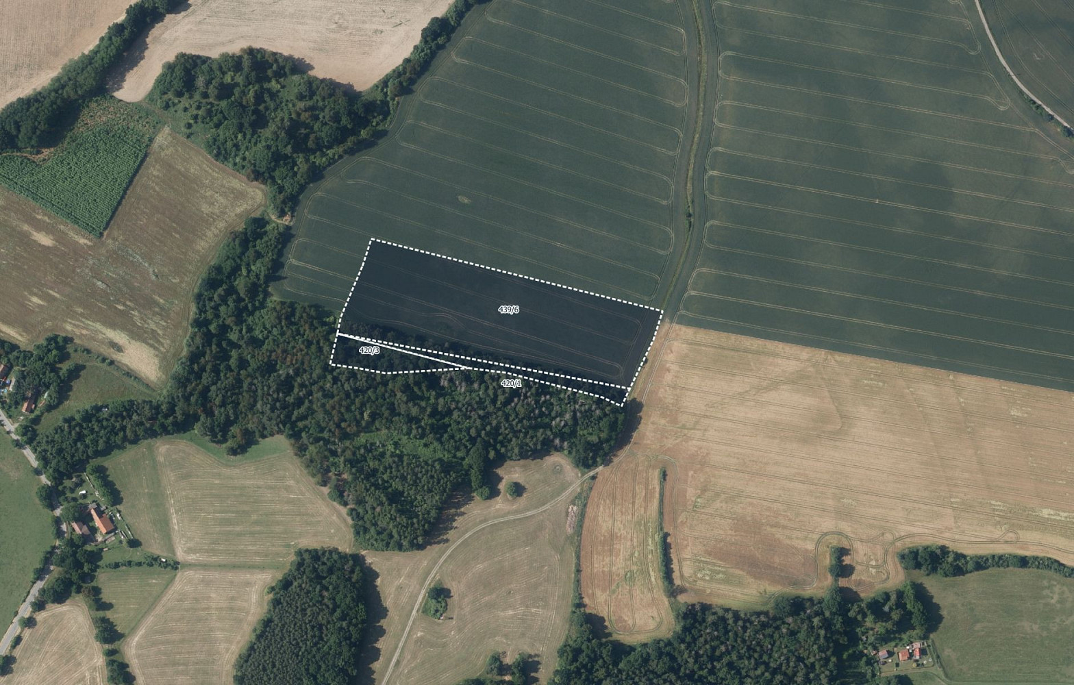 Prodej pole 30 999 m²
