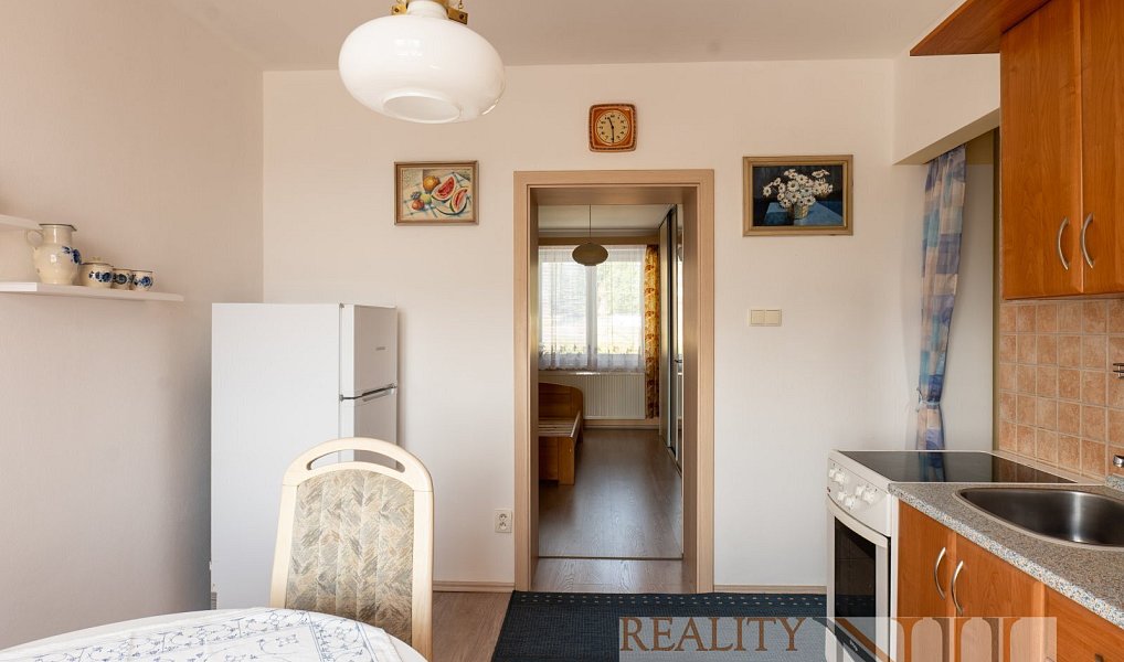 Prodej domu 225 m² s pozemkem 92 m², Plzeň – náhled fotky 10
