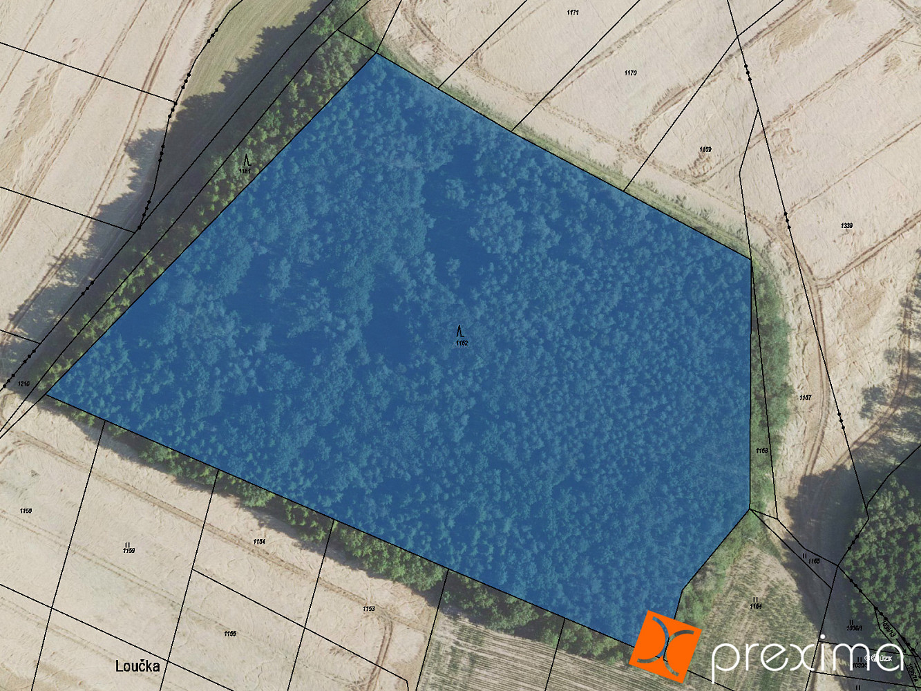 Prodej lesa 1 731 m²