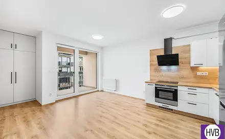 Prodej bytu 2+kk 57 m², Goldscheiderova, Plzeň - Jižní Předměstí