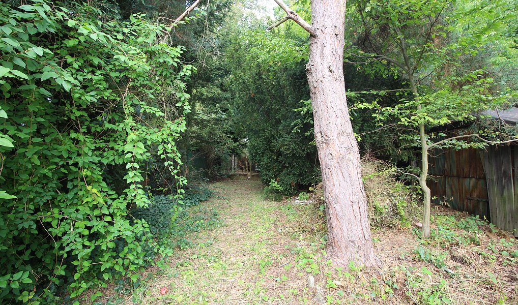 Prodej stavebního pozemku 1 605 m², Nová Ves pod Pleší – náhled fotky 18