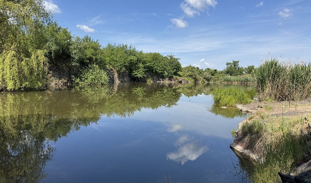 Prodej stavebního pozemku 1 605 m², Vrbčany – náhled fotky 19
