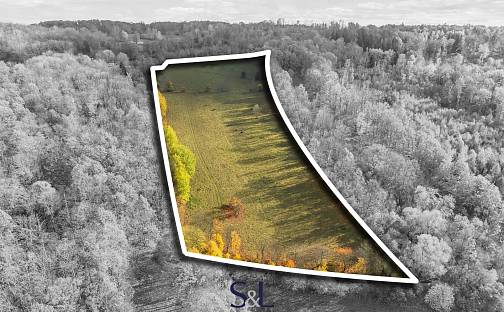 Prodej louky 37 727 m², Stvolínky - Stvolínecké Petrovice, okres Česká Lípa