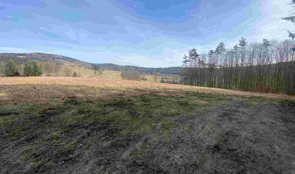 Prodej pole 3 869 m², Kraslice – náhled fotky 8