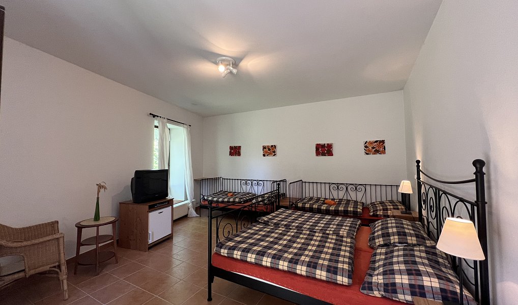 Prodej domu (jiného typu) 500 m² s pozemkem 632 m², Zlatá Koruna – náhled fotky 4