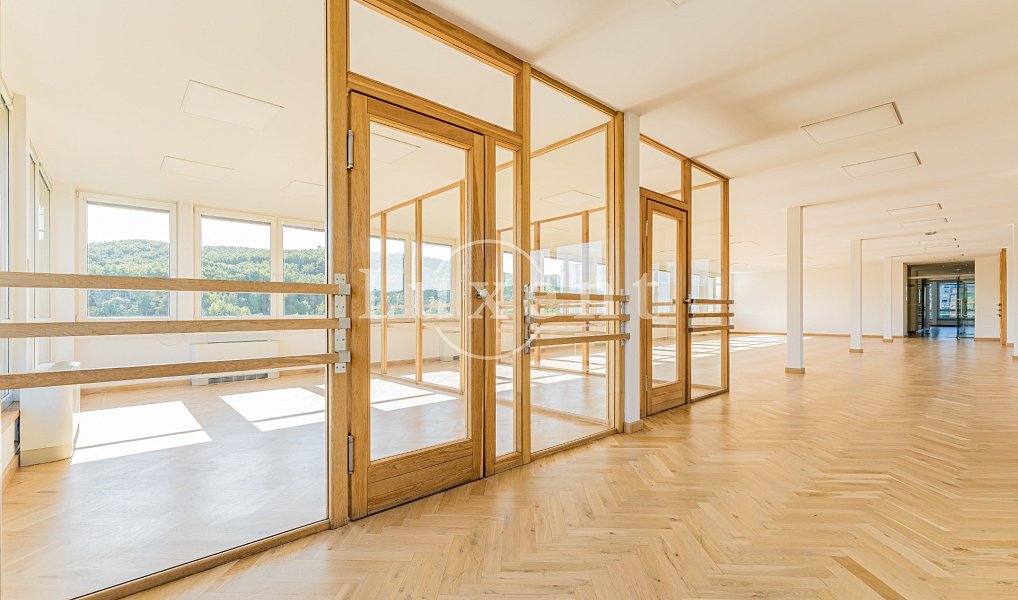 Pronájem kanceláře 257 m², Praha – náhled fotky 10