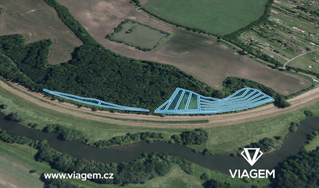 Prodej lesa 1 692 m², Ladná – náhled fotky 2