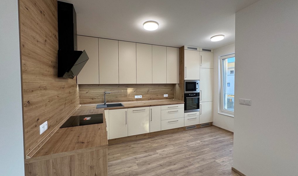 Pronájem bytu 3+kk 93 m², Nepomuk – náhled fotky 2