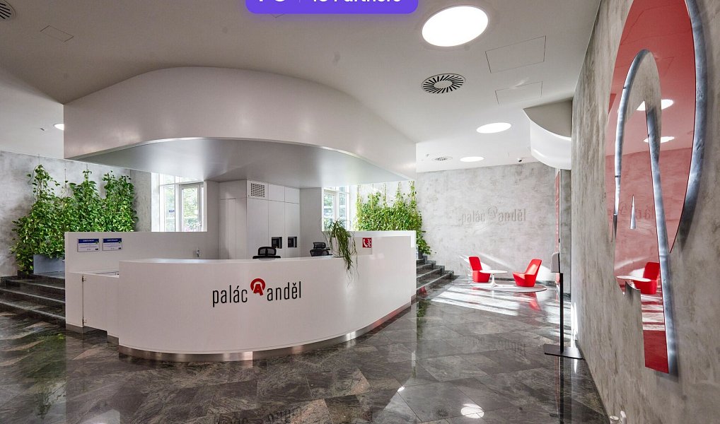 Pronájem kanceláře 356 m², Praha – náhled fotky 8