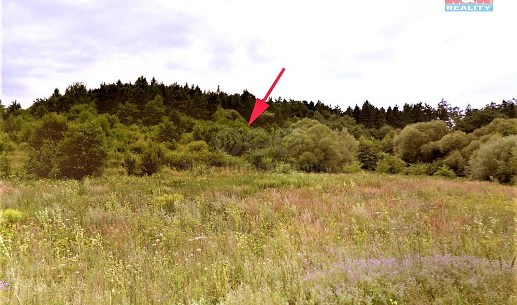 Prodej louky 4 420 m², Jankovice – náhled fotky 4