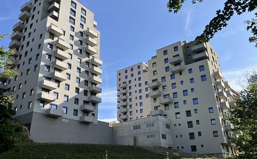 Pronájem bytu 1+kk 49 m², Polní, Liberec - Liberec XII-Staré Pavlovice