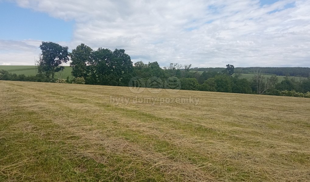 Prodej pole 43 102 m², Malá Roudka – náhled fotky 3