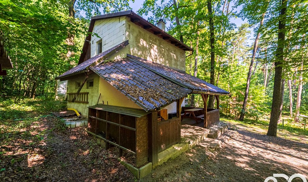 Prodej chaty/chalupy 30 m² s pozemkem 30 m², Ráby – náhled fotky 11