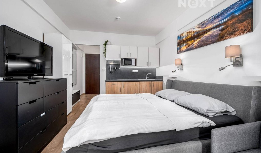Prodej bytu 1+kk 20 m², Rokytnice nad Jizerou – náhled fotky 5
