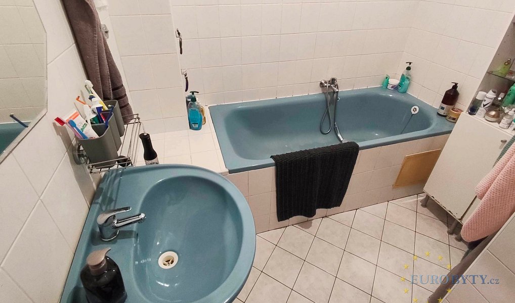 Pronájem bytu 2+1 70 m², Praha – náhled fotky 12
