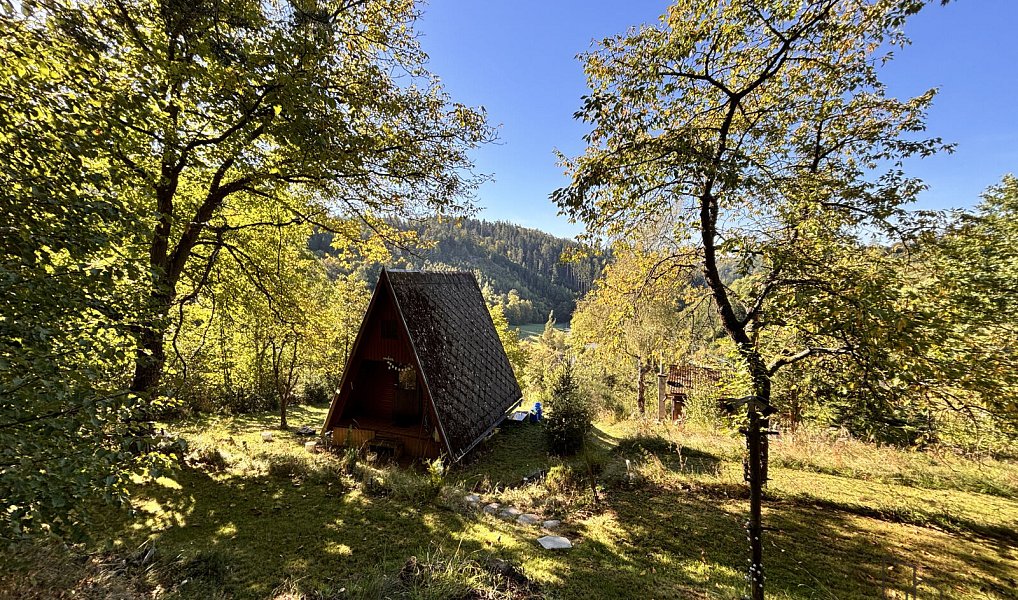 Prodej chaty/chalupy 22 m² s pozemkem 22 m², Zábřeh – náhled fotky 10