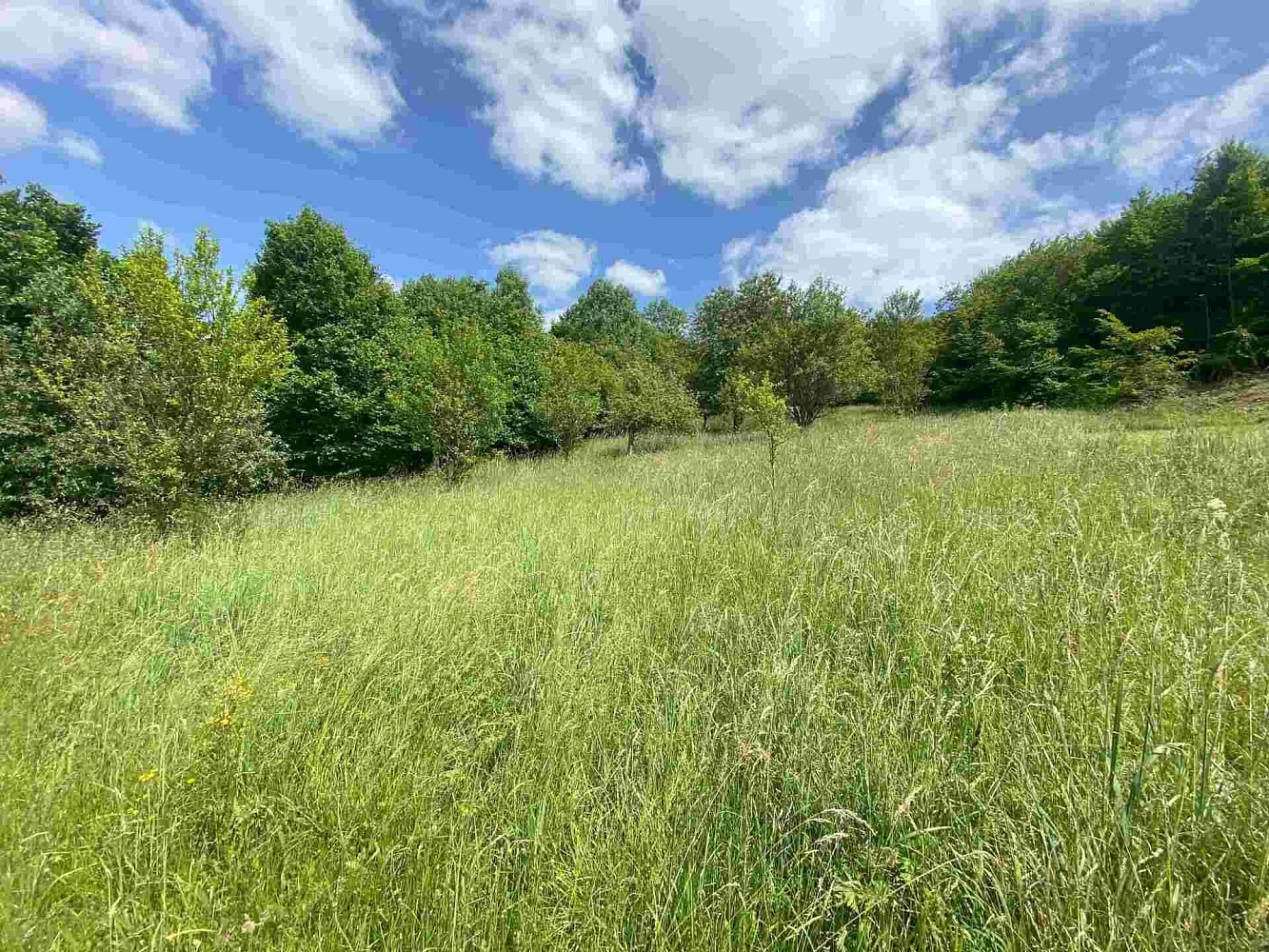 Prodej stavebního pozemku 2 790 m²