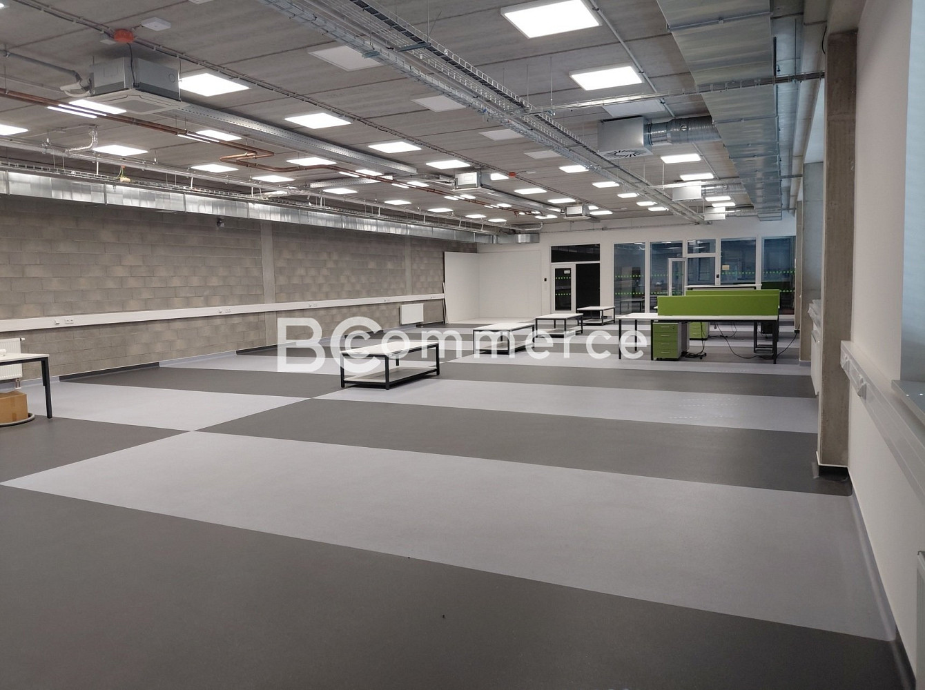 Pronájem skladovacích prostor 4 204 m² – fotografie 4