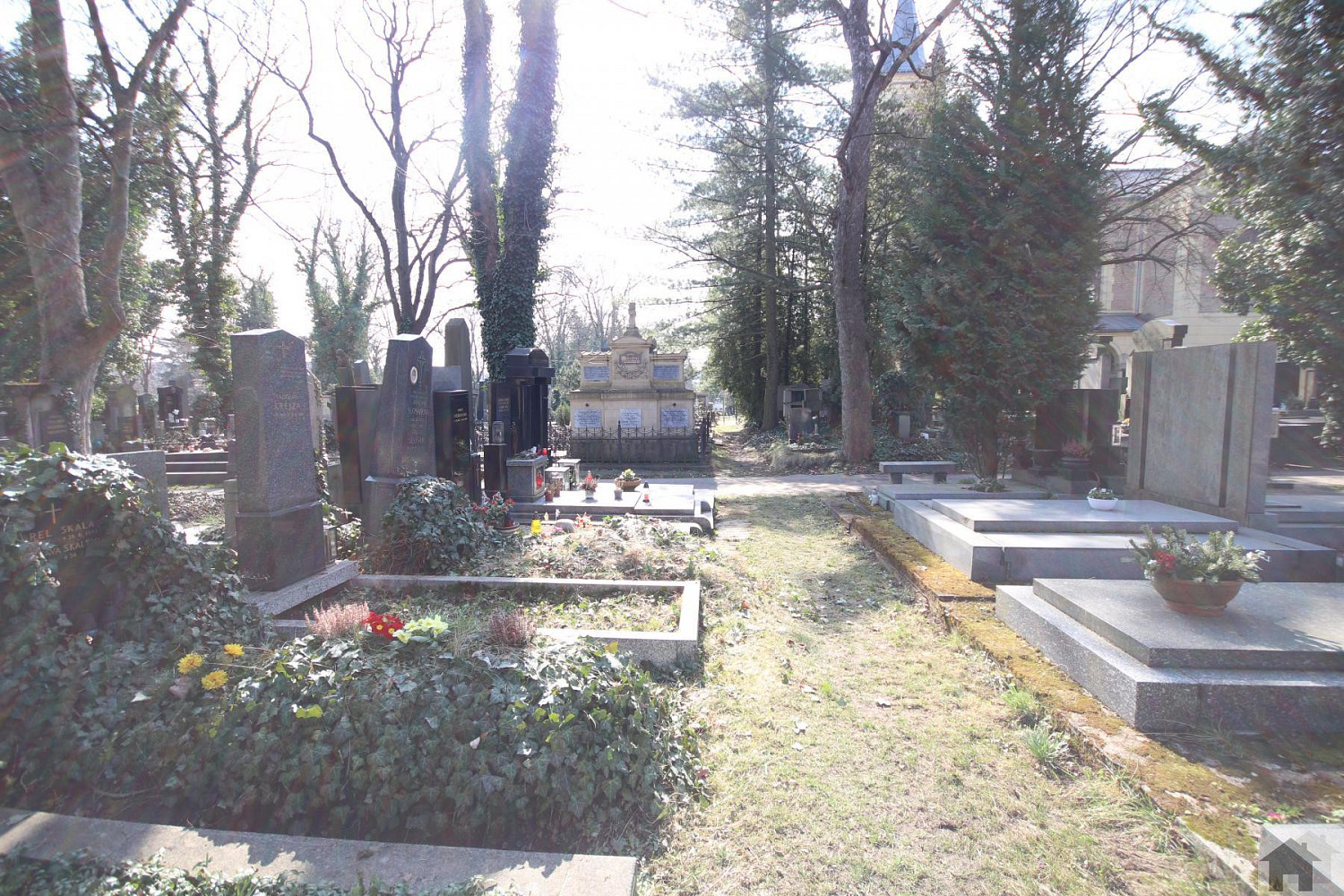Přenechání hrobového místa na malvazinkách — photo 4