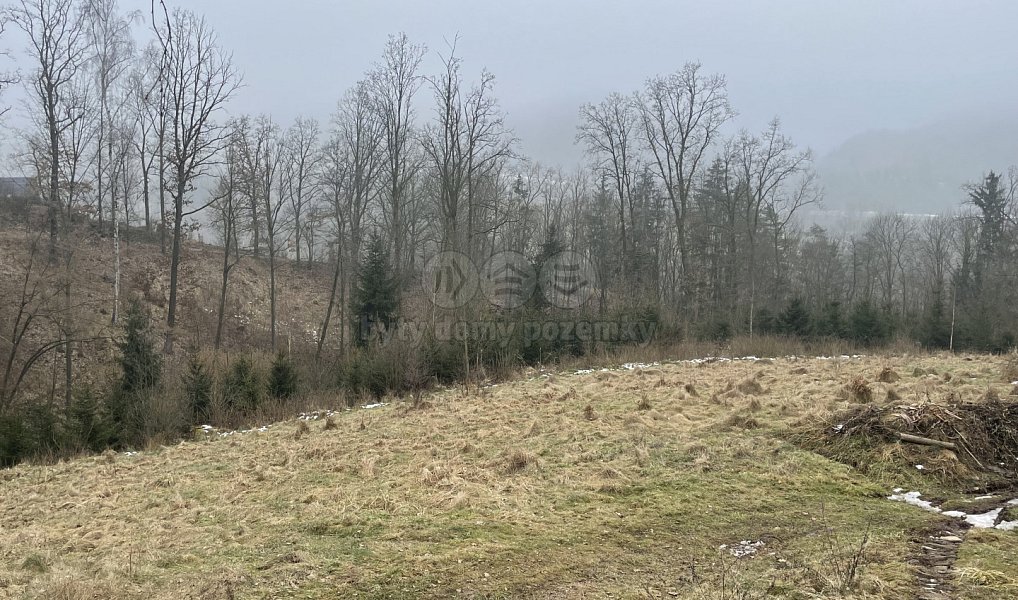 Prodej lesa 33 054 m², Košťálov – náhled fotky 3