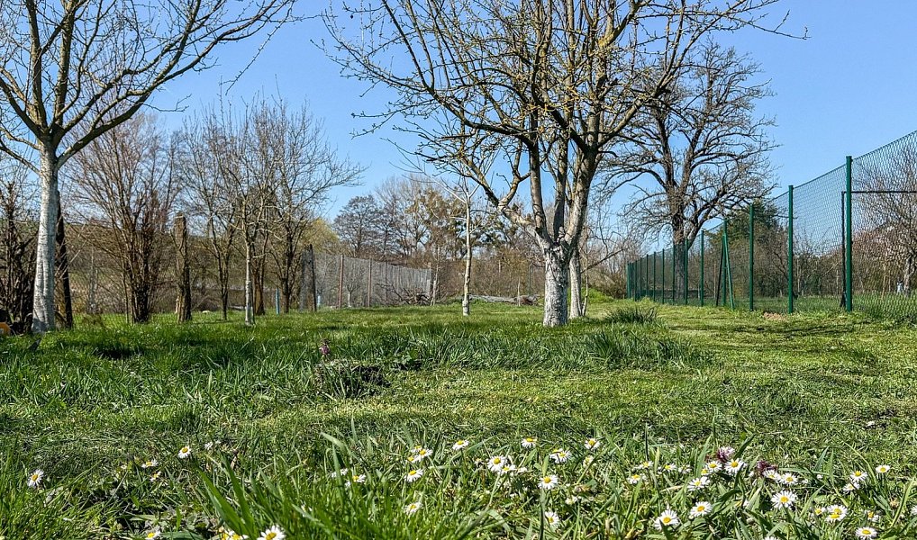 Prodej domu 80 m² s pozemkem 746 m², Zdounky – náhled fotky 16
