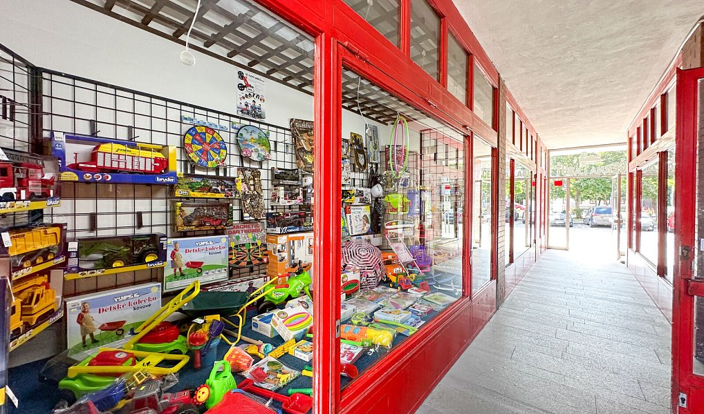 Prodej obchodních prostor 503 m², Dobříš – náhled fotky 12