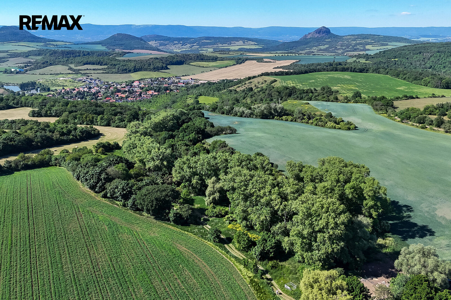 Prodej lesa 5 841 m² – fotografie 4