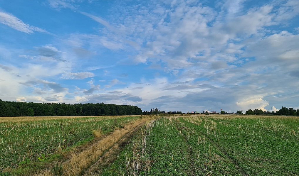 Prodej komerčního pozemku 22 239 m², Plzeň – náhled fotky 8
