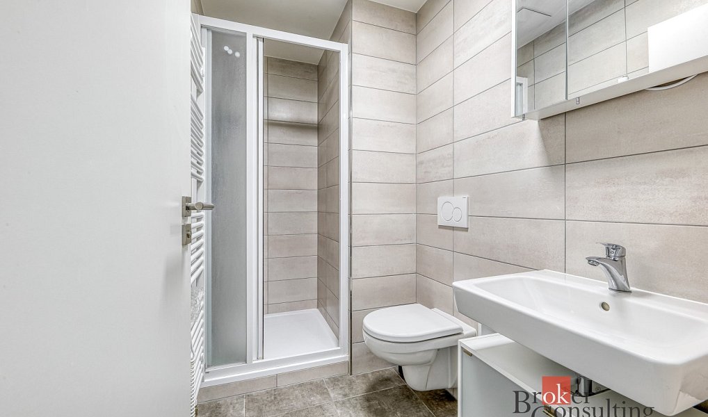 Pronájem bytu 1+kk 36 m², Plzeň – náhled fotky 3
