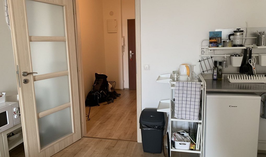 Prodej bytu 1+kk 33 m², Praha – náhled fotky 23