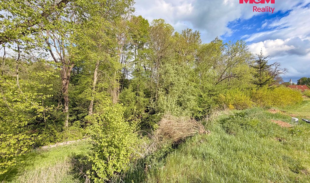 Prodej stavebního pozemku 2 790 m², Milešov – náhled fotky 8