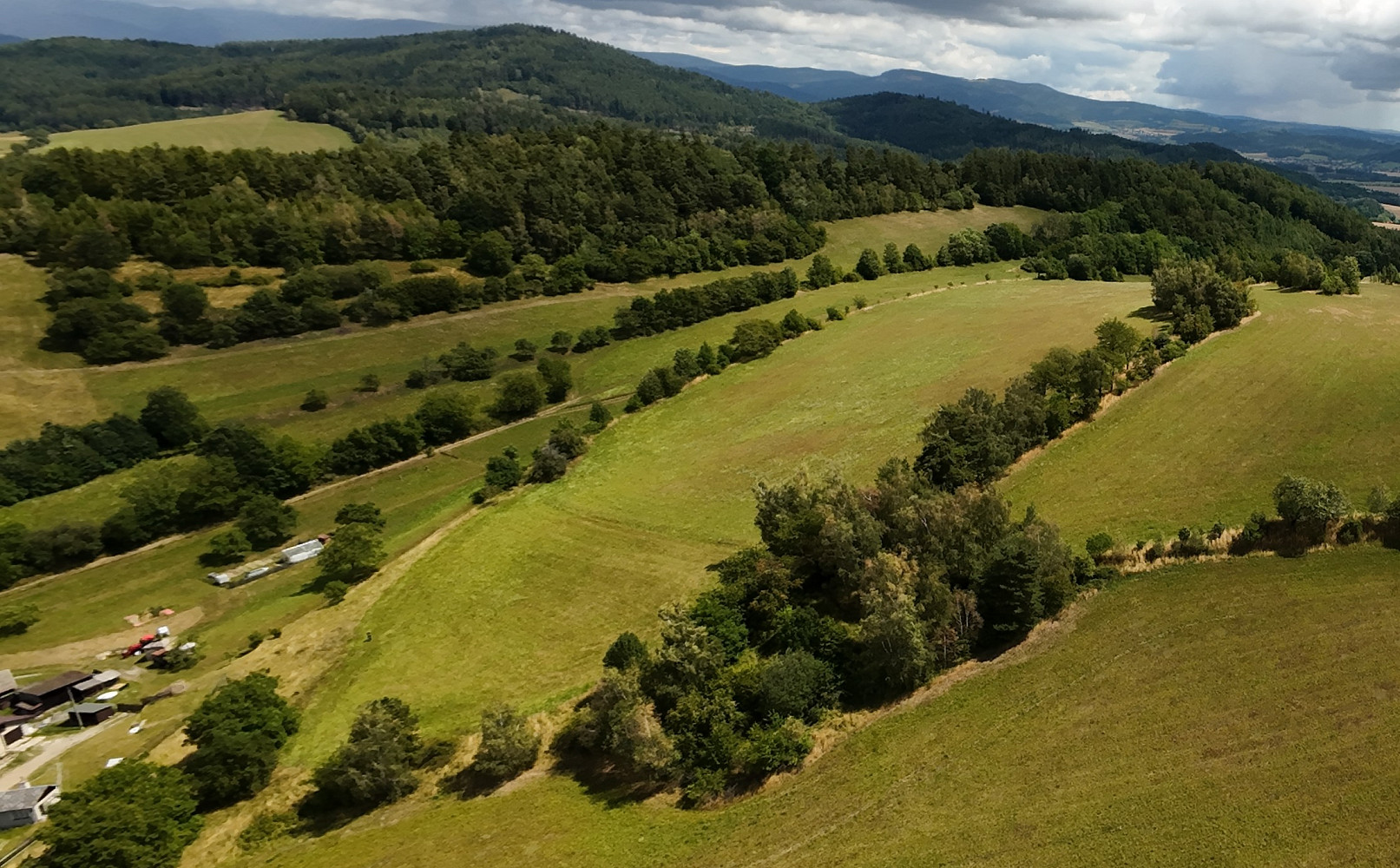 Prodej stavebního pozemku 6 000 m² – fotografie 3