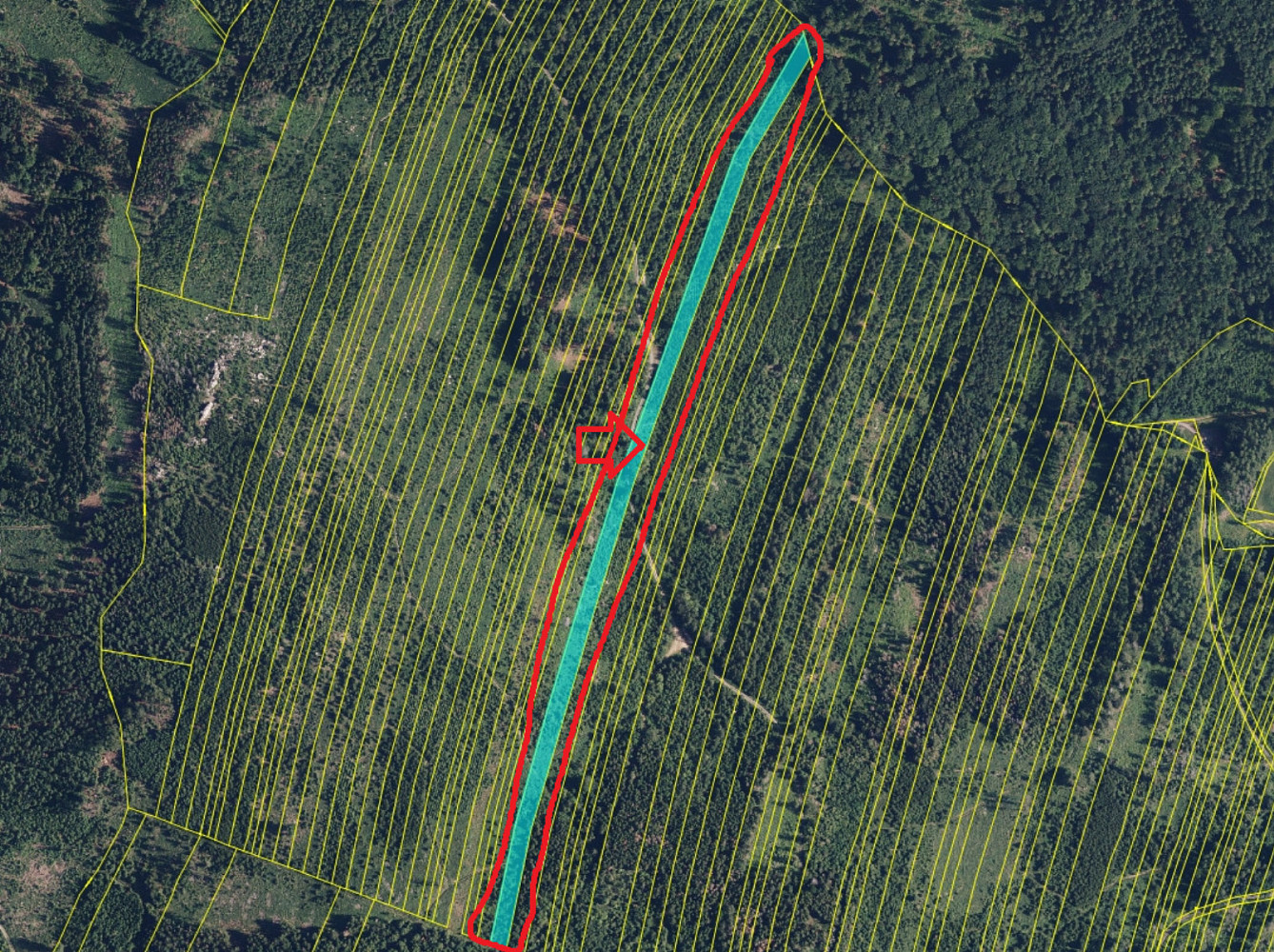 Prodej lesa 2 498 m² – pohled 2