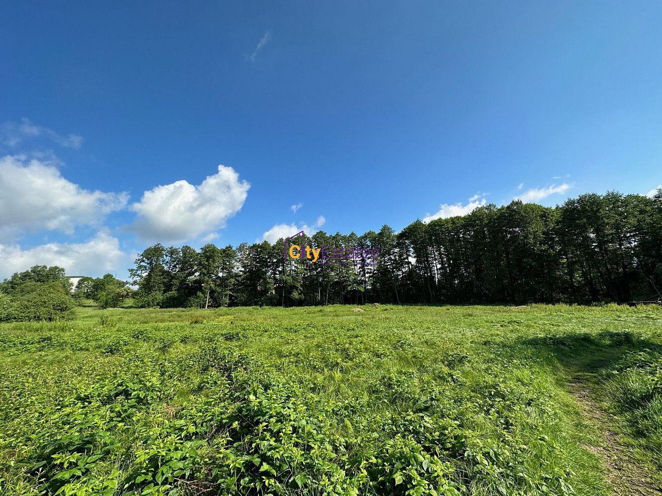 Prodej komerčního pozemku 8 756 m² – fotografie 2