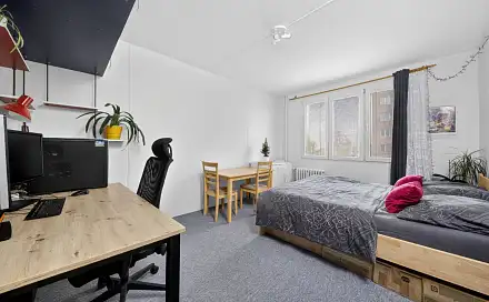 Prodej bytu 1+1 36 m², Skupova, Plzeň - Jižní Předměstí