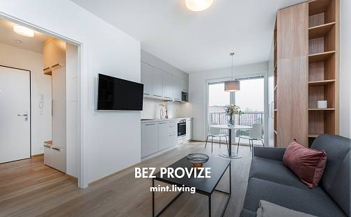 Pronájem bytu 1+kk 39 m², Františka Kováříka, Plzeň - Skvrňany