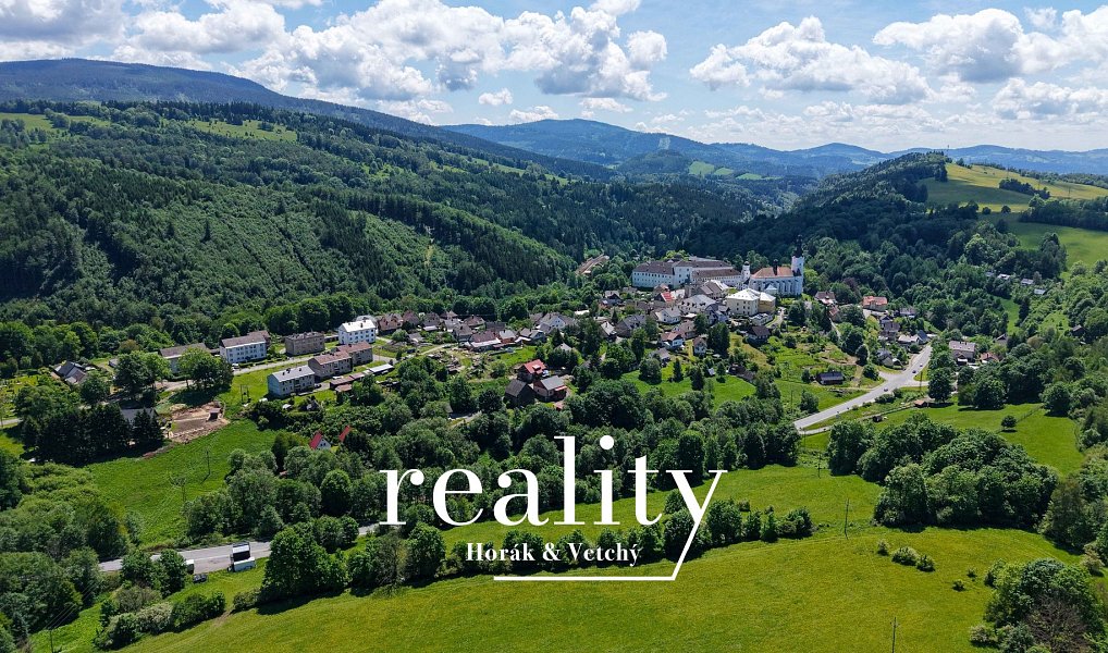 Prodej stavebního pozemku 2 462 m², Branná – náhled fotky 2