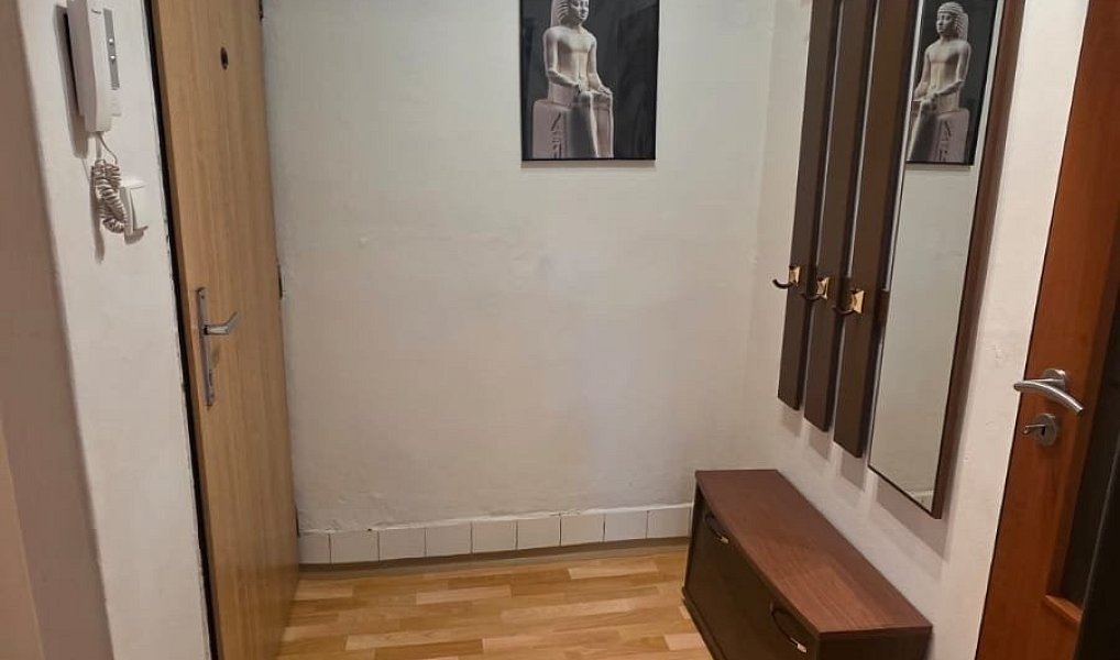 Pronájem bytu 1+1 43 m², Praha – náhled fotky 7