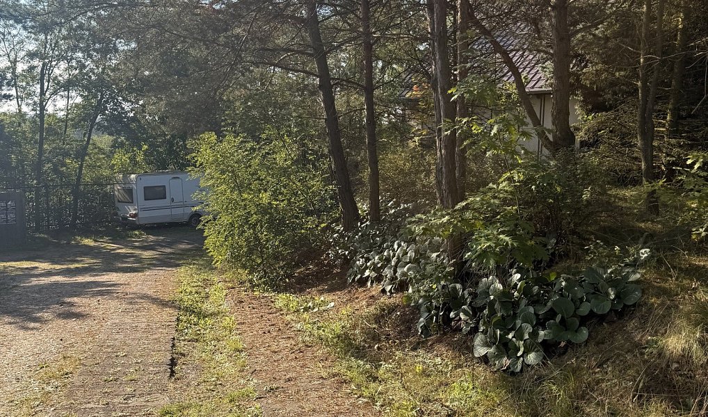 Prodej chaty/chalupy 180 m² s pozemkem 1 287 m², Račice – náhled fotky 18