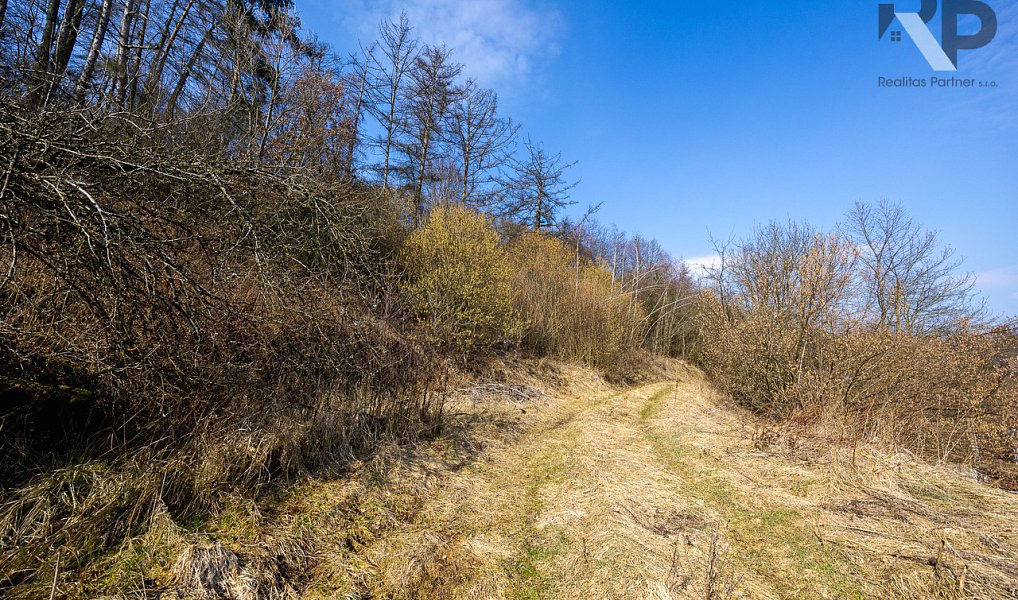 Prodej stavebního pozemku 3 388 m², Luka nad Jihlavou – náhled fotky 10