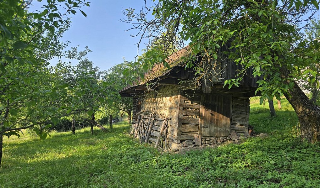 Prodej domu 138 m² s pozemkem 5 893 m², Prlov – náhled fotky 8